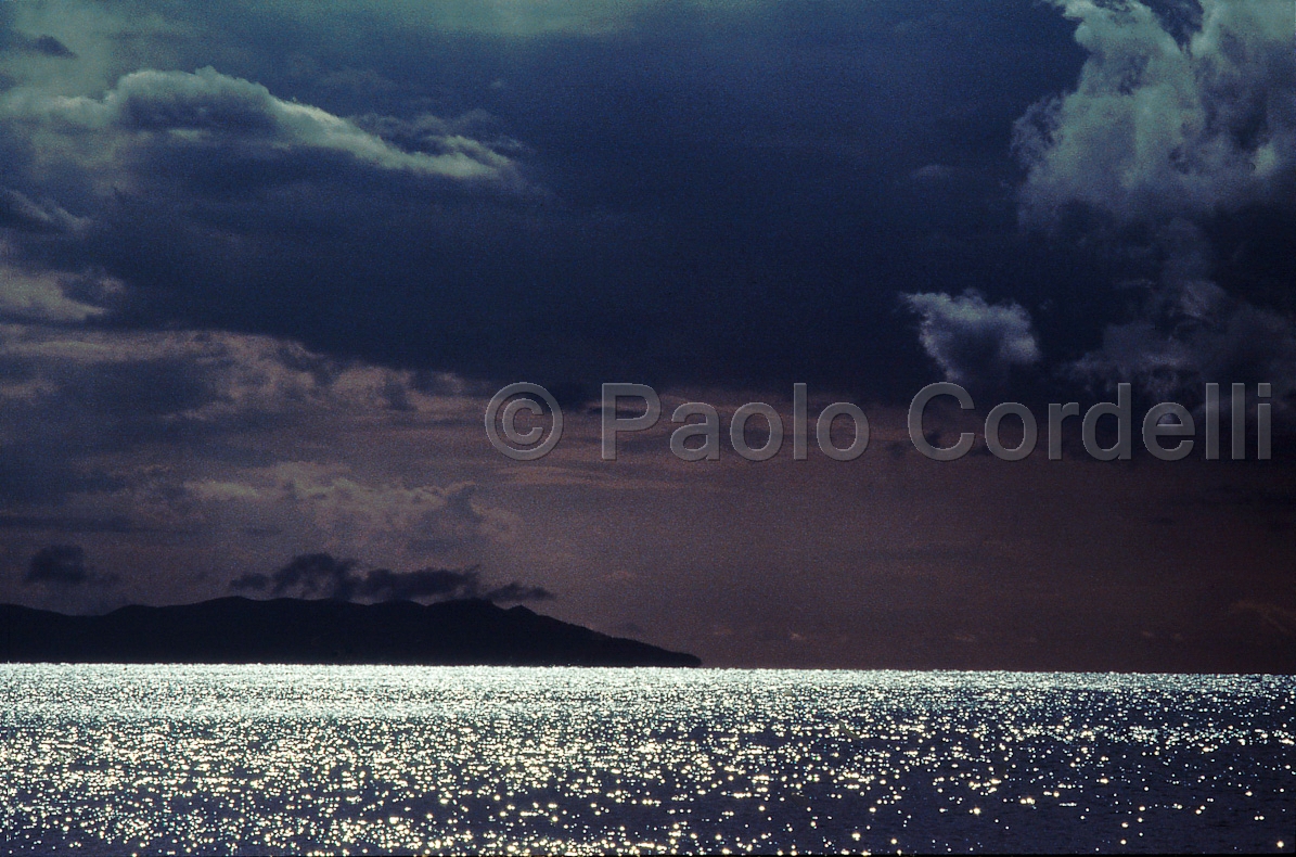 Maremma Natural Park (Uccellina), Tuscany, Italy
 (cod:Tuscany 06)